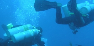  Diving pair 